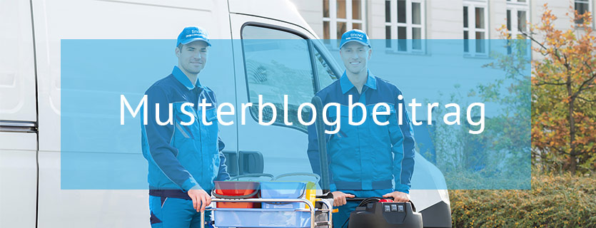 musterblogbeitrag